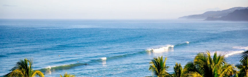 Top Attractions in Punta Mita, Mexico: A Complete Travel Guide