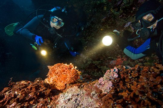 Tour image 6